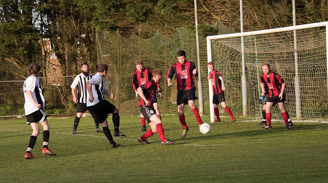 大的心理影 大的心理影