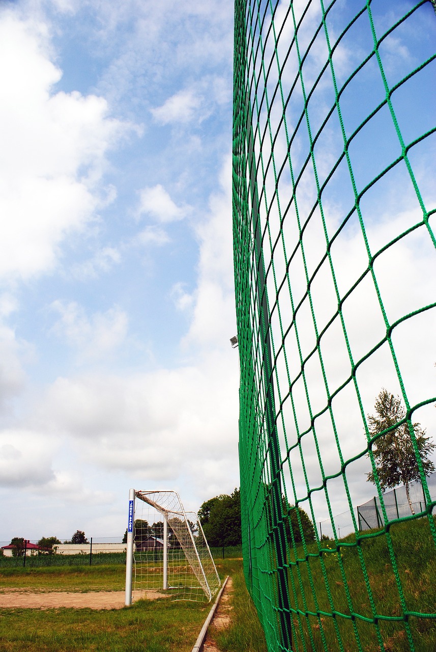 验丰富的足 验丰富的足