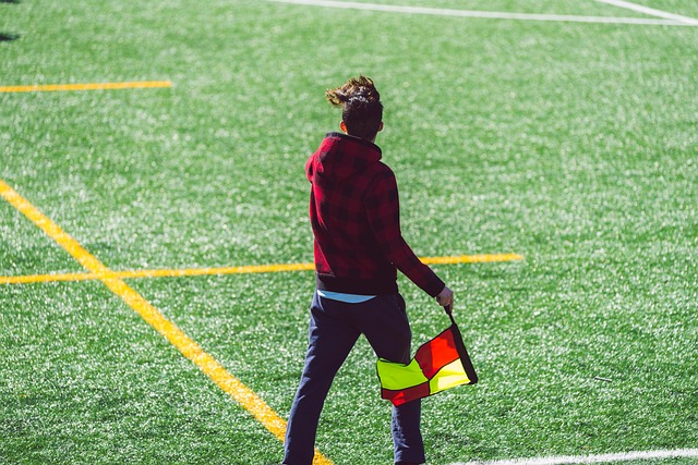 体竞争力 体竞争力