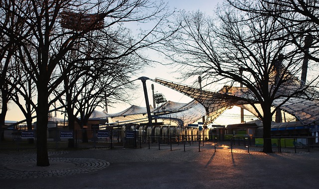 尽管取得了 尽管取得了